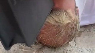 порно на публике
публичный секс порно
секс прилюдно
секс на публике
публичный секс видео
порно прилюдно
порно публичное
порно на людях
порно в общественном
порно в публичном месте
порно в общественном месте
порно при зрителях
смотреть порно на публике
порно видео на публике
прилюдное порно
ххх публично
порно в обществе
порно видео публичное
секс на публике видео
секс публично
порно публично
ххх в общественном месте
порно место
секс перед людьми
порно в людном месте
прилюдный секс
порно при посторонних
секс на публике порно
секс в людном месте
порно в необычных местах
секс в общественном месте видео
секс везде
секс на улице при людях
porn на публике
русское порно на публике
ххх на публике
реальный секс на публике
порно в разных местах
секс в общественном месте
частное порно на публике
смотреть порно публичное
публичный секс
уличное порно
секс при всех
секс публичный
ххх на улице
секс в публичном месте
секс на публику
порно на глазах у всех
секс с прохожей
секс на улице перед людьми
жесткое порно на публике
прилюдно порно
секс публичное
ебля на людях
трахнул при всех
порно секс на публике
порно на улице при людях
xxx публично
секс в общественном
порно прилюдное
порно при всех
трах прилюдно
трахнул на публике
секс порно на публике
на публике порно видео
порно на глазах у прохожих
трах публично
трахнул прилюдно
порно в общ местах
секс на глазах у всех
публик секс
порно публичный секс
порно при людях
порно с прохожей
порно жесткое публичное
секс на улиса
порно везде
секс у всех на виду
на публике секс
порно секс в общественном месте
порно перед всеми
ебля публично
публичное порево
porno публичное
на публике xxx
публичное порно
секс перед публикой
секс в необычных местах видео
порно публичные
ебут на улице
трахнул на улице
порно публичное на улице
порно онлайн публичное
секс при людях порно
порно без палева
секс в разных местах
русское порно в общественных местах
ебля на публике
жесткое порно на улице
трахнул при людях
порно на публику
голые девушки на публике видео
порно с незнакомкой на улице
секс на глазах у прохожих
жесткий секс на улице
порно голая на публике
смотреть порно в общественном месте
ебля в общественном месте
трахаются прилюдно
групповой секс в общественном месте
порно видео прилюдно
ебут в общественном месте
секс в публике
трахают на публике
порно в публичном
порно публичный
порно в общественных местах
секс в необычных местах порно
при всех порно
секс на улитса
публик порно
ебля в общественных местах
трах на публике
порно анал на публике
порно в общественных
секс в общественном месте порно
ебут прилюдно
секс публика
секс студентки на публике
порно на публике смотреть
жесткий публичный секс
секс людей
публичный порно
секс при зрителях
трахают прилюдно
русское порно публичное
ебля на улице
секс видео публичное
порно групповое публичное
публика порно
порно на улице при всех
ебут на публике
трах на улице
публичная порно
трахнул на людях
порнуха на улице
порно перед людьми
порно общественном месте
порно в самых необычных местах
прилюдный секс порно
порно публике
порно публичной
порно секс на улице
на публике ххх
порно русское публичное
порно видео в общественном месте
трахнул в общественном месте
порно у всех на виду
уличный порно
xxx публичное
порно публичные места
секс на публике вк
порно видео публично
порно общественный
ебля при людях
порно в людных местах
минет на публике
ххх публик
трахает на улице
порно публик
порно секс на людях
смотреть порно на людях
секс при людях на улице
порнуха в общественном месте
секс в общественных местах видео
порно в странных местах
трахают публично
порно секс при людях
ххх публичное
секс на площадке
секс видео на публике
секс видео публично
порно сайт люди
public porno
выебал в общественном месте
porno на публике
порно общественное
секс прилюдный
голые девушки на публике
на публике порно
домашнее порно на улице
русское публичное порно видео
порно общество
публично ххх
уличный секс
порно публика
ебут на людях
трах в общественном месте
